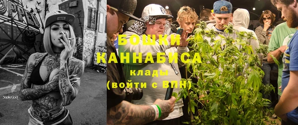 сатива Абинск