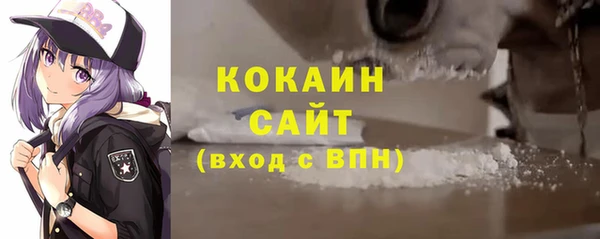 крисы Алзамай